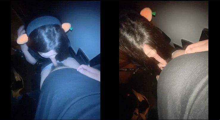 兔子寶寶很喜歡他的胡蘿蔔
